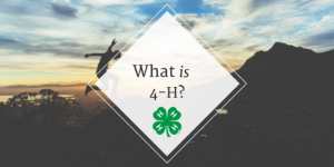 Cover photo for What Is 4-H?