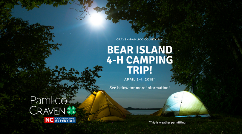 Bear Island 4-H Camping Trip
