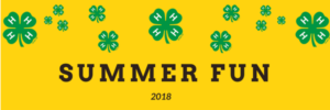 Cover photo for Summer Fun