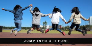 Cover photo for Upcoming 4-H Events