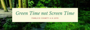 Cover photo for Green Time Not Screen Time