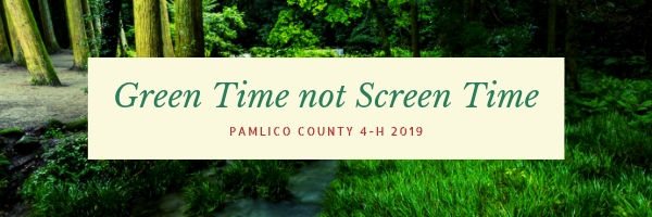 A banner reading: Green Time not Screen Time - Pamlico County 4-H 2019 in green and read font on a cream background. Partially obscured by the cream background a photograph of a forrest with a creek running through the forrest floor, soft, mossy grass to the right.