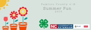 Cover photo for 2019 Summer Fun
