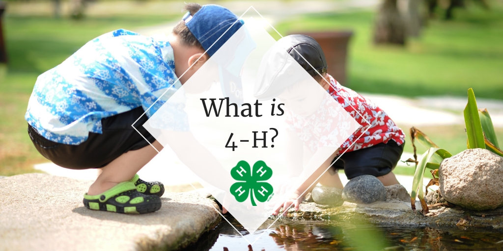 Banner Reading: What is 4-H? Pictured behind are two young boys playing in a park creek.