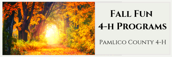 Banner: Fall Fun 4-H Programs - Pamlico County 4-H. Pictured a fall road