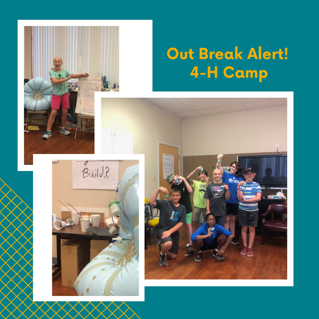 Outbreak Alert Photo Collage: Child presenting her PSA; Model of a cell, children posing with their model viruses