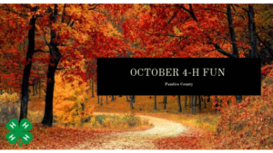 Autumn Path