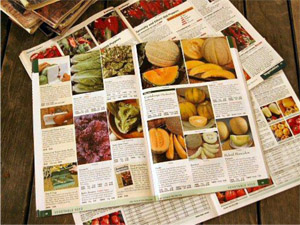 picture of various seed catalogs