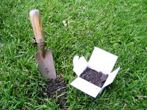 picture of lawn with trowel and soil sampling box