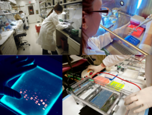 Cover photo for Advancing Knowledge Through Turfgrass Center Research – Kerns