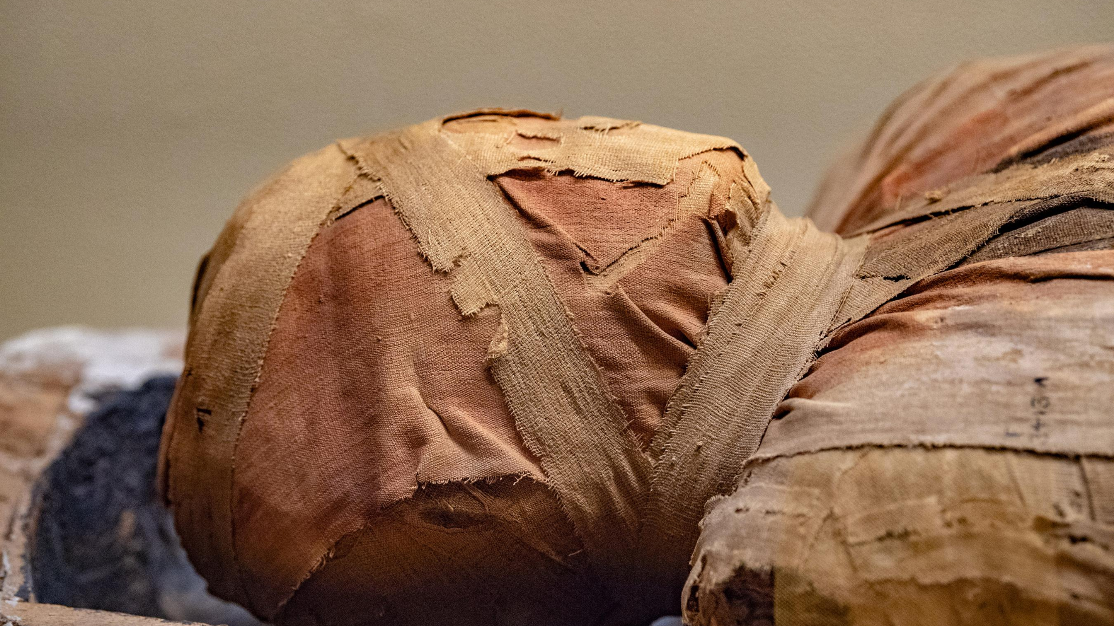 picture of mummy wrapped in brown cloth