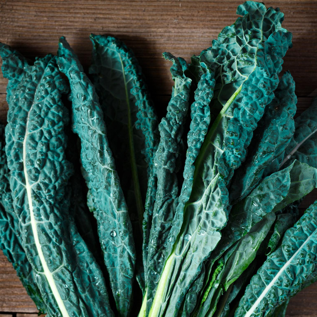 picture of kale leaves