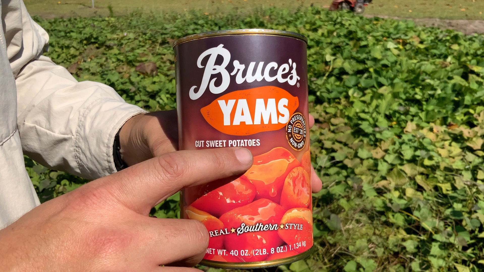 Can of Yams