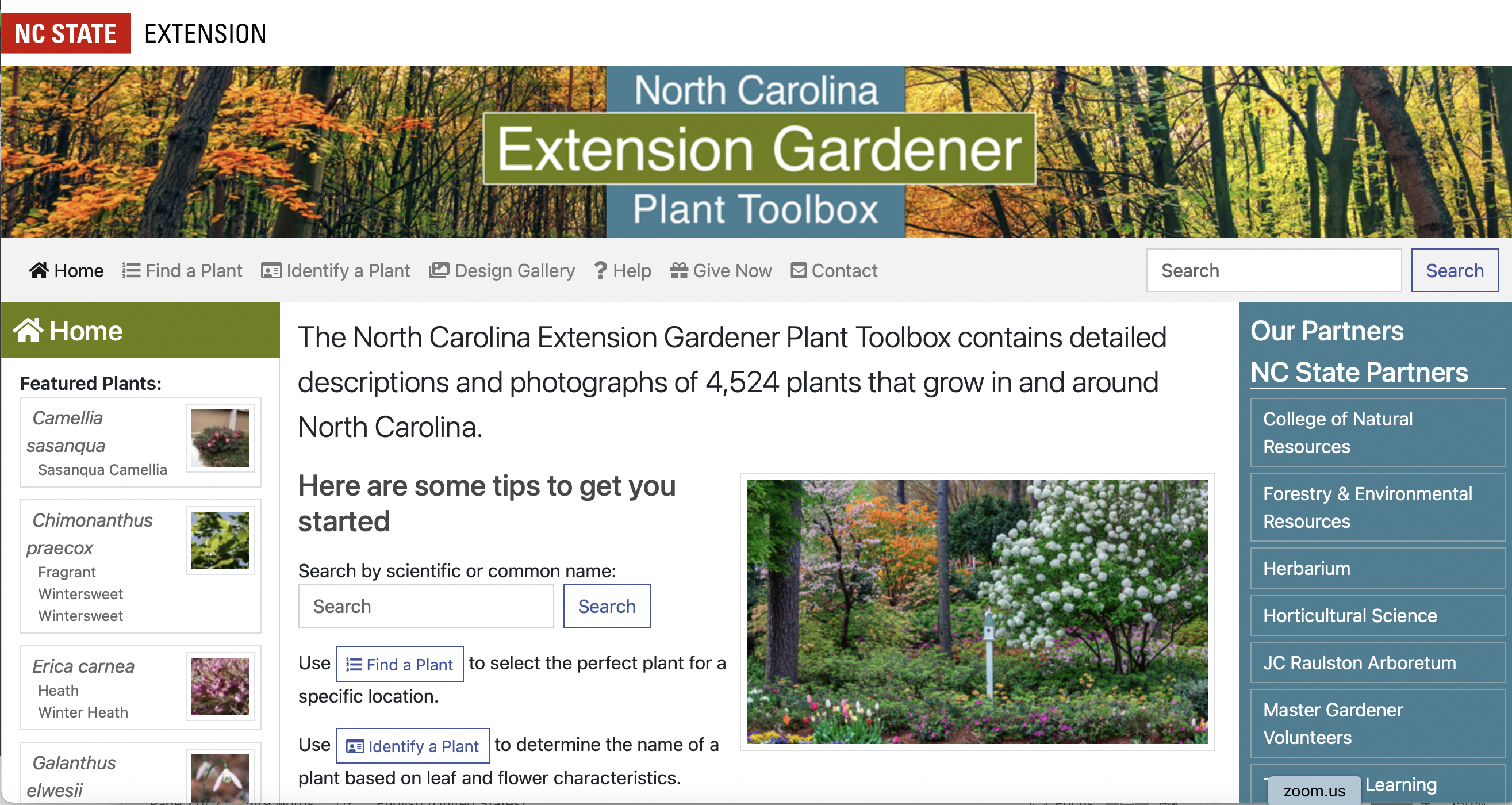 screen shot of plant tool box online