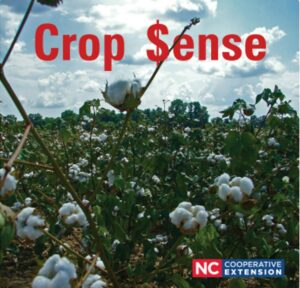 Cover photo for Early Season Considerations for NC Soybean Production