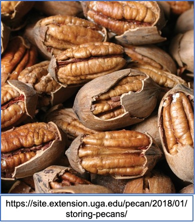 cracked pecans