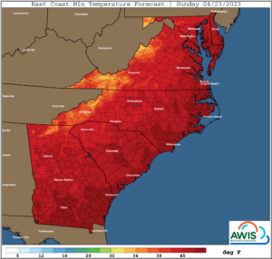 Cover photo for AWIS Weather Update: Chances of Frost