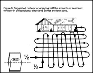 diagram of lawn and how to spread fertilizer