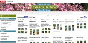 screenshot of plant toolbox website page