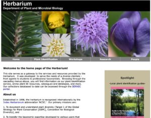 screenshot of herbarium website