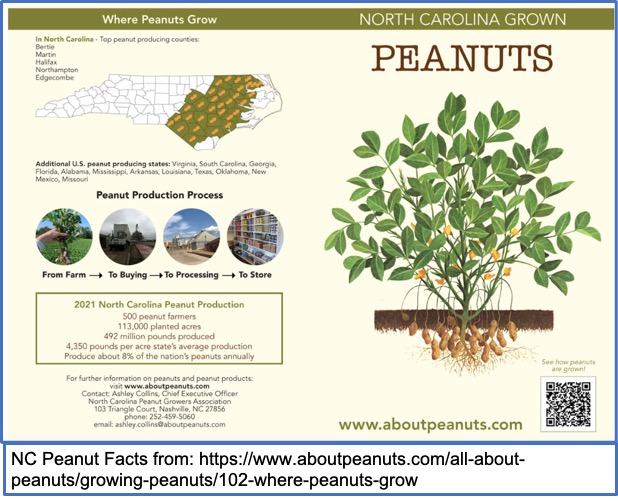 A image listing facts about growing peanuts in North Carolina.