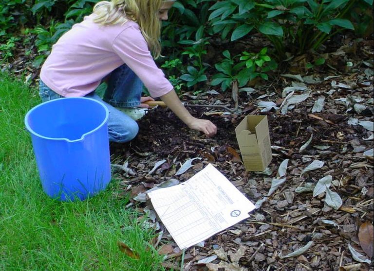 Child kneeling over garden bed collecting soil for soil sample. Next to them is a soil sample log and collection box.