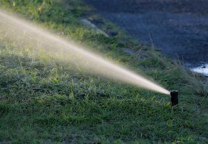 water sprinkler spraying water on green grass lawn