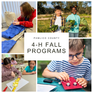 A collage of four images with the title 'Pamlico County 4-H Fall Programs'. The image shows various 4-H activities: youth holding crops in a garden, sewing in a classroom, building an electrical project, and preparing food in a cooking class.