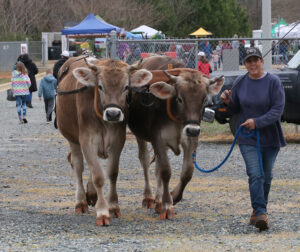 Cover photo for Save the Date for Our 2025 Chatham County Spring Ag Fest!