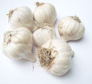 Six garlic bulbs grouped closely together on a clean white backdrop, showcasing their shapes and textures in a simple presentation.