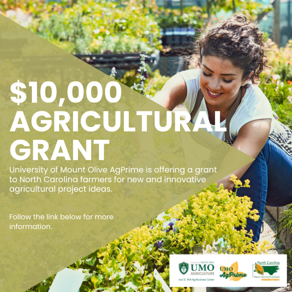 A person crouches while gardening, with a green triangle overlay displaying the text: “$10,000 Agricultural Grant. University of Mount Olive AgPrime is offering a grant to North Carolina farmers for new and innovative agricultural project ideas. Follow the link below for more information.”